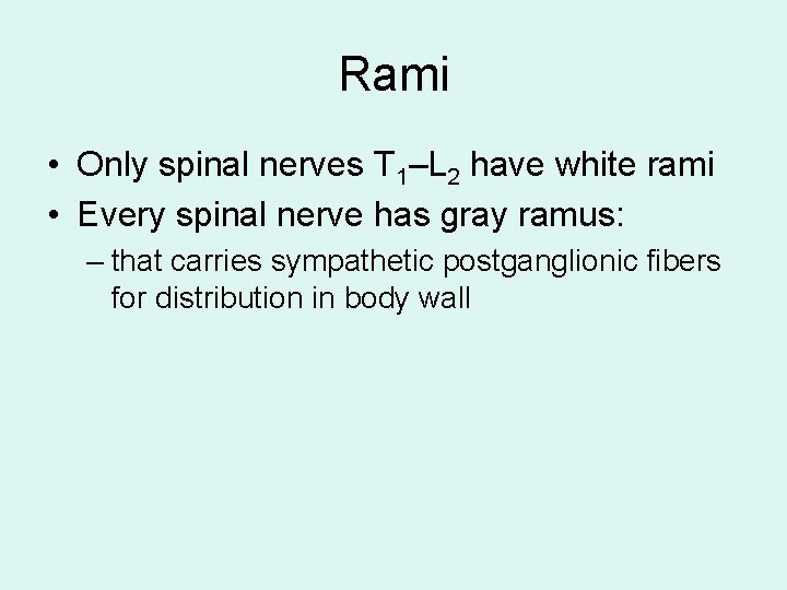 Rami • Only spinal nerves T 1–L 2 have white rami • Every spinal Rami • Only spinal nerves T 1–L 2 have white rami • Every spinal