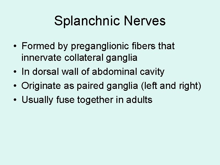 Splanchnic Nerves • Formed by preganglionic fibers that innervate collateral ganglia • In dorsal Splanchnic Nerves • Formed by preganglionic fibers that innervate collateral ganglia • In dorsal