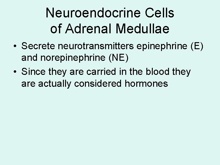 Neuroendocrine Cells of Adrenal Medullae • Secrete neurotransmitters epinephrine (E) and norepinephrine (NE) • Neuroendocrine Cells of Adrenal Medullae • Secrete neurotransmitters epinephrine (E) and norepinephrine (NE) •