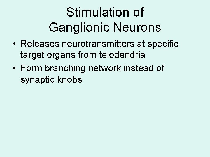 Stimulation of Ganglionic Neurons • Releases neurotransmitters at specific target organs from telodendria • Stimulation of Ganglionic Neurons • Releases neurotransmitters at specific target organs from telodendria •