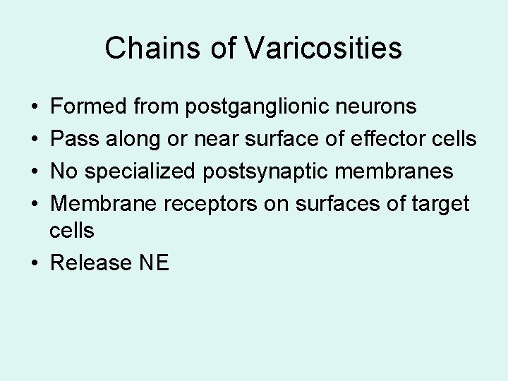 Chains of Varicosities • • Formed from postganglionic neurons Pass along or near surface Chains of Varicosities • • Formed from postganglionic neurons Pass along or near surface