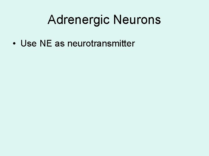 Adrenergic Neurons • Use NE as neurotransmitter Adrenergic Neurons • Use NE as neurotransmitter