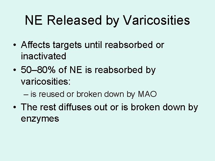 NE Released by Varicosities • Affects targets until reabsorbed or inactivated • 50– 80% NE Released by Varicosities • Affects targets until reabsorbed or inactivated • 50– 80%