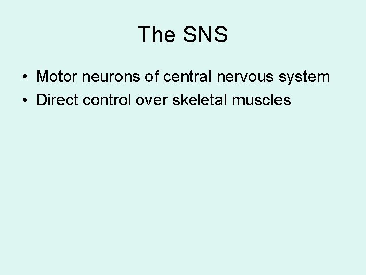 The SNS • Motor neurons of central nervous system • Direct control over skeletal The SNS • Motor neurons of central nervous system • Direct control over skeletal