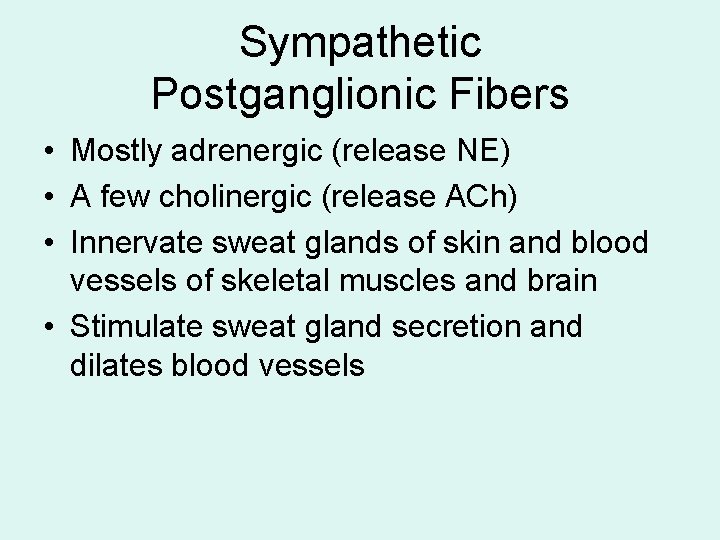 Sympathetic Postganglionic Fibers • Mostly adrenergic (release NE) • A few cholinergic (release ACh) Sympathetic Postganglionic Fibers • Mostly adrenergic (release NE) • A few cholinergic (release ACh)