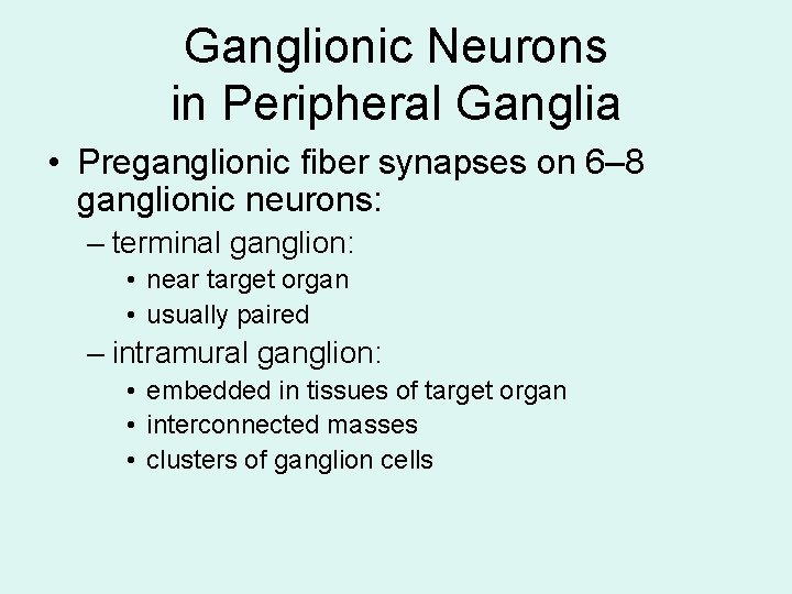 Ganglionic Neurons in Peripheral Ganglia • Preganglionic fiber synapses on 6– 8 ganglionic neurons: Ganglionic Neurons in Peripheral Ganglia • Preganglionic fiber synapses on 6– 8 ganglionic neurons: