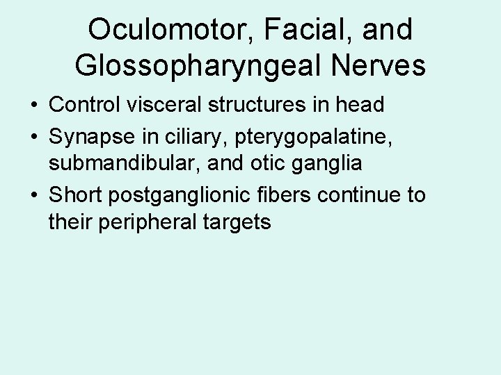 Oculomotor, Facial, and Glossopharyngeal Nerves • Control visceral structures in head • Synapse in Oculomotor, Facial, and Glossopharyngeal Nerves • Control visceral structures in head • Synapse in