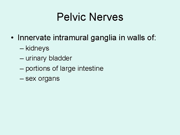 Pelvic Nerves • Innervate intramural ganglia in walls of: – kidneys – urinary bladder Pelvic Nerves • Innervate intramural ganglia in walls of: – kidneys – urinary bladder