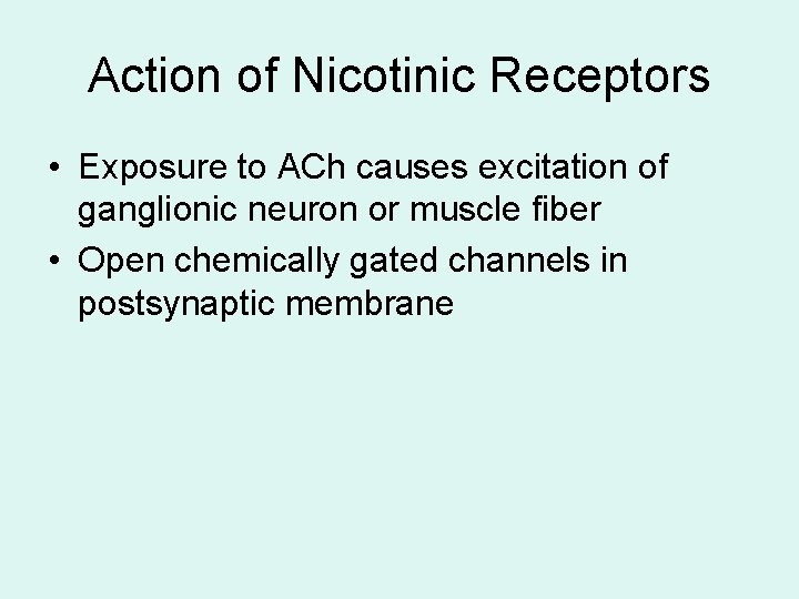 Action of Nicotinic Receptors • Exposure to ACh causes excitation of ganglionic neuron or Action of Nicotinic Receptors • Exposure to ACh causes excitation of ganglionic neuron or