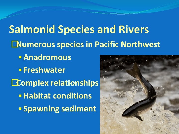 Salmonid Species and Rivers �Numerous species in Pacific Northwest § Anadromous § Freshwater �Complex