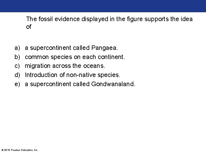 The fossil evidence displayed in the figure supports the idea of a) b) c)