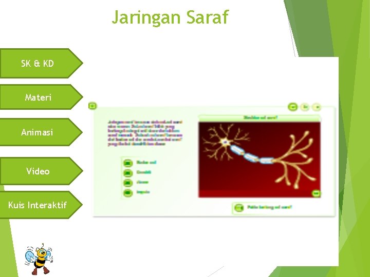 Jaringan Saraf SK & KD Materi Animasi Video Kuis Interaktif 