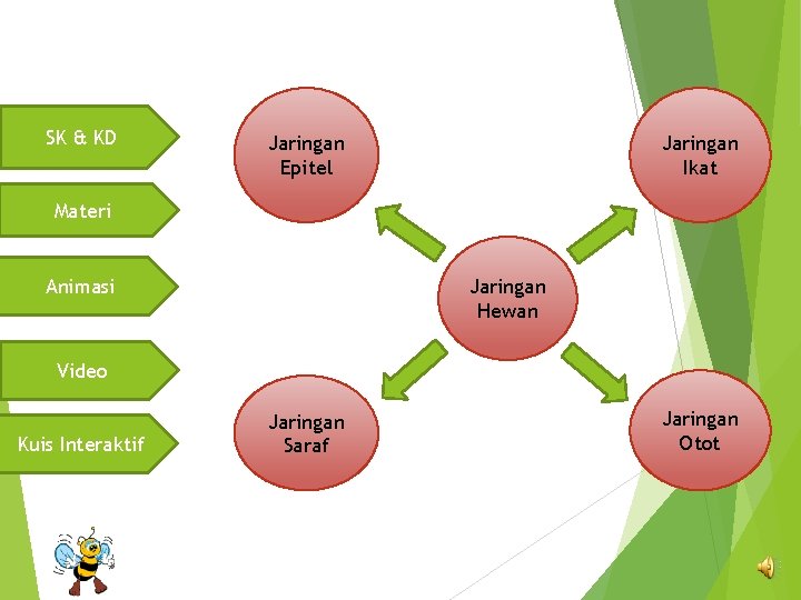 SK & KD Jaringan Epitel Jaringan Ikat Materi Animasi Jaringan Hewan Video Kuis Interaktif