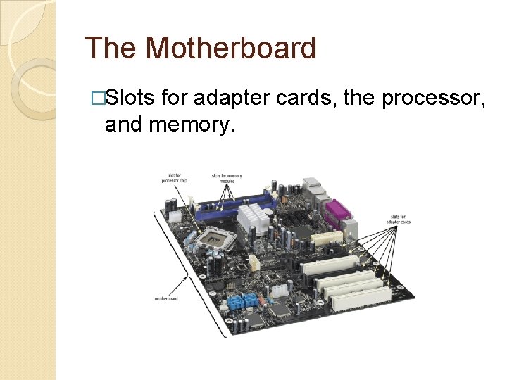 The Motherboard �Slots for adapter cards, the processor, and memory. 