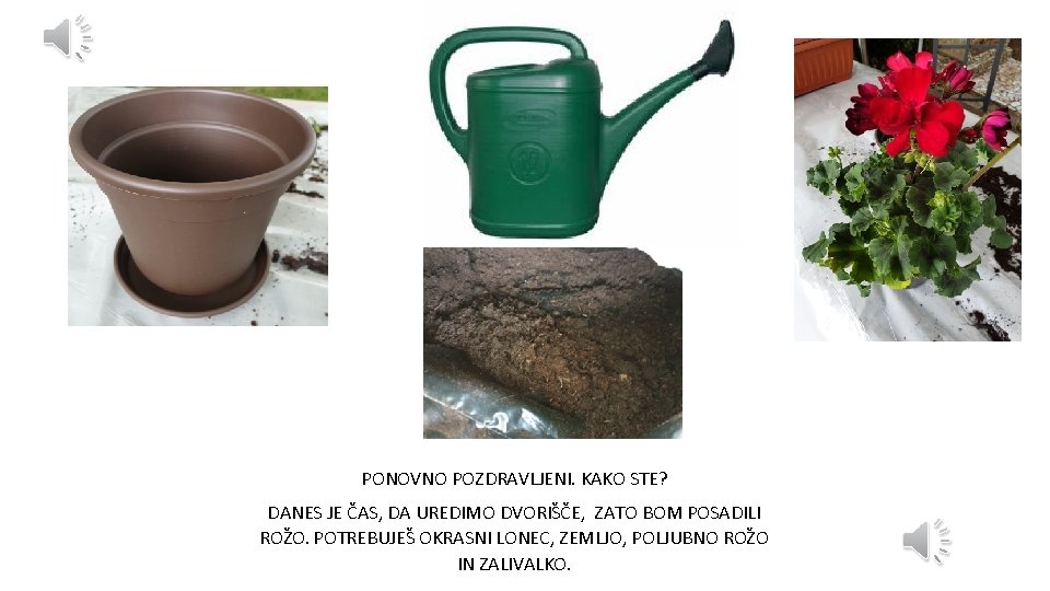 PONOVNO POZDRAVLJENI. KAKO STE? DANES JE ČAS, DA UREDIMO DVORIŠČE, ZATO BOM POSADILI ROŽO.