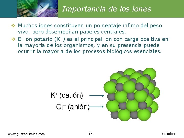 Importancia de los iones v Muchos iones constituyen un porcentaje ínfimo del peso vivo,