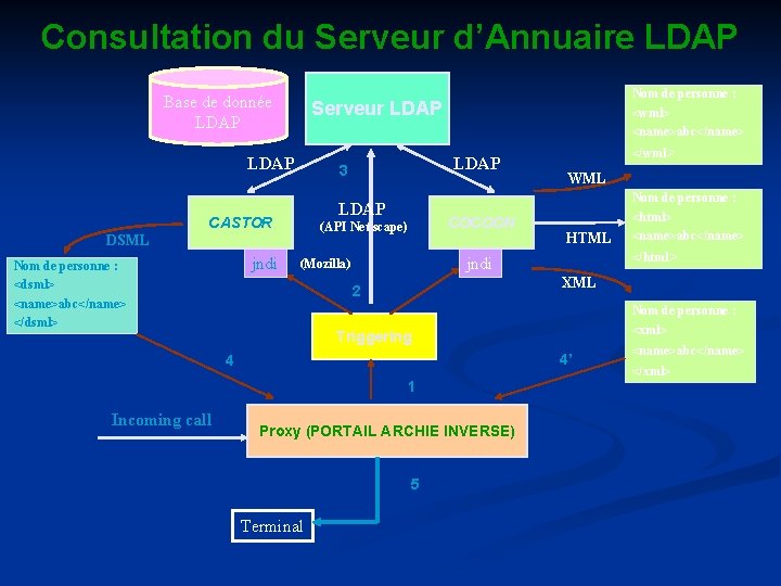 Consultation du Serveur d’Annuaire LDAP Base de donnée LDAP Serveur LDAP DSML jndi LDAP