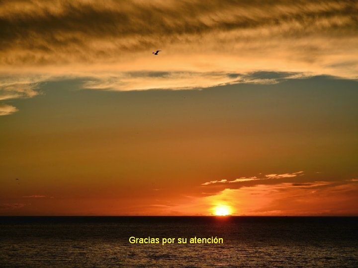 Gracias por su atención 