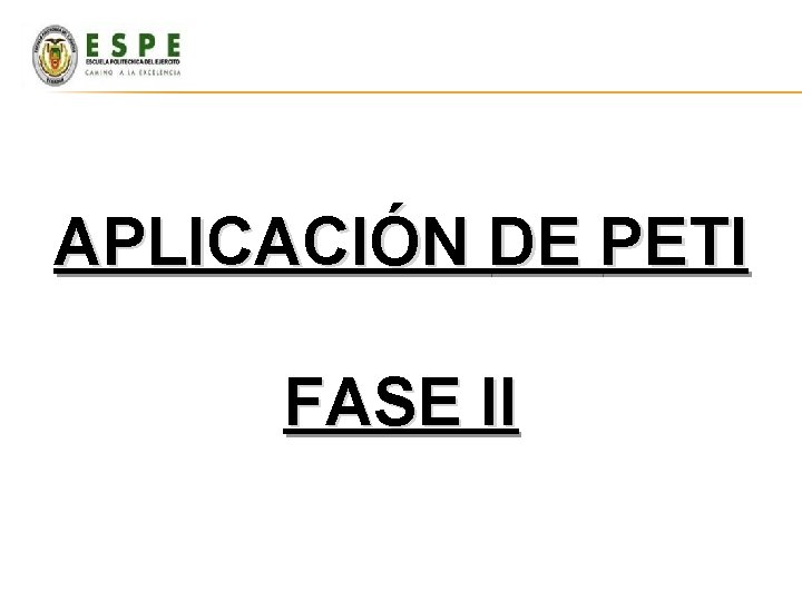 APLICACIÓN DE PETI FASE II APLICACIÓN DE PETI FASE II