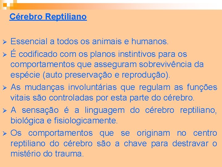 Cérebro Reptiliano Ø Ø Ø Essencial a todos os animais e humanos. É codificado