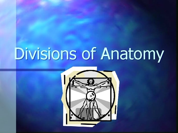 Divisions of Anatomy 