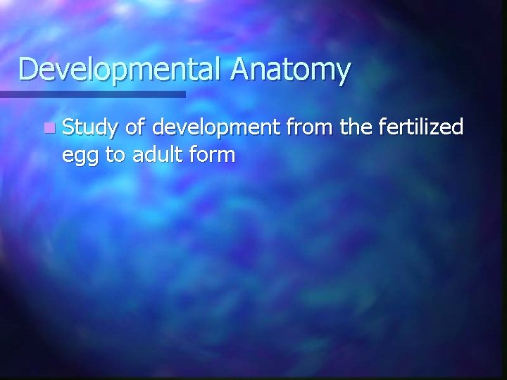 Developmental Anatomy n Study of development from the fertilized egg to adult form 