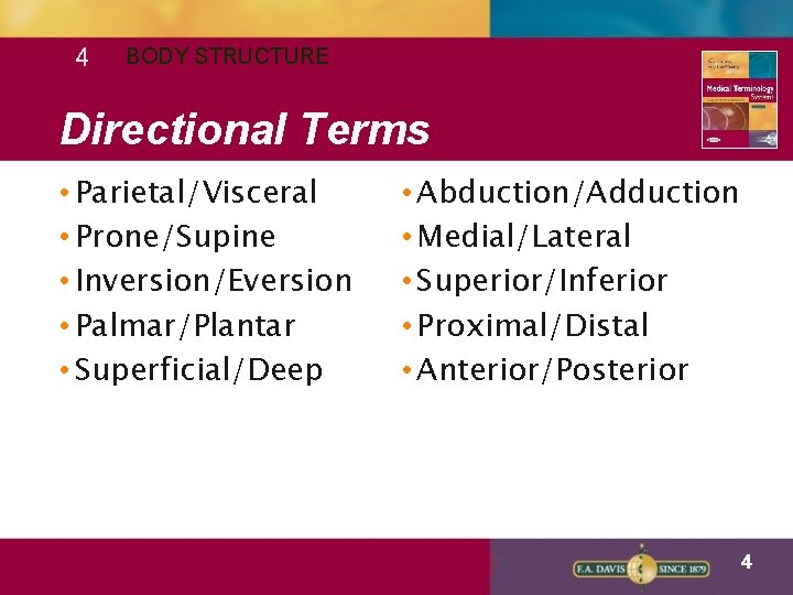 4 BODY STRUCTURE Directional Terms • Parietal/Visceral • Prone/Supine • Inversion/Eversion • Palmar/Plantar •