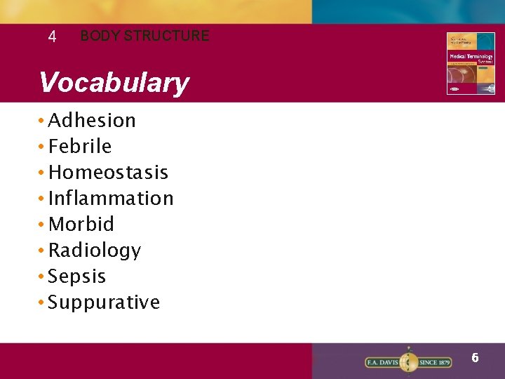 4 BODY STRUCTURE Vocabulary • Adhesion • Febrile • Homeostasis • Inflammation • Morbid