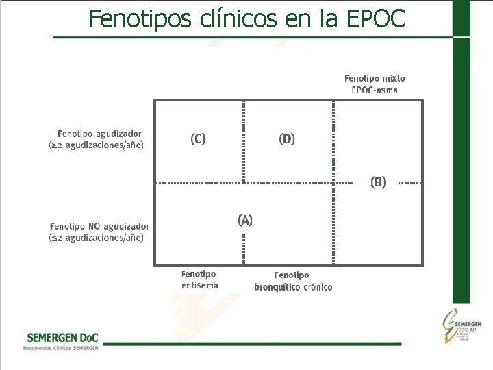 Fenotipos clínicos en la EPOC 