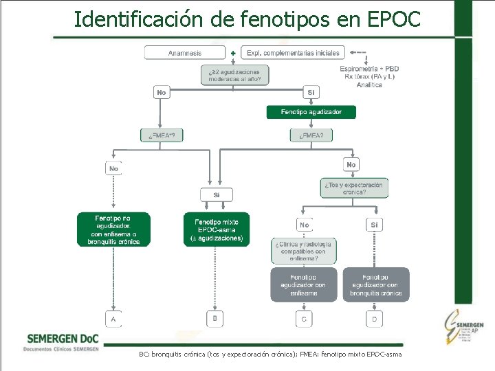 Identificación de fenotipos en EPOC BC: bronquitis crónica (tos y expectoración crónica); FMEA: fenotipo