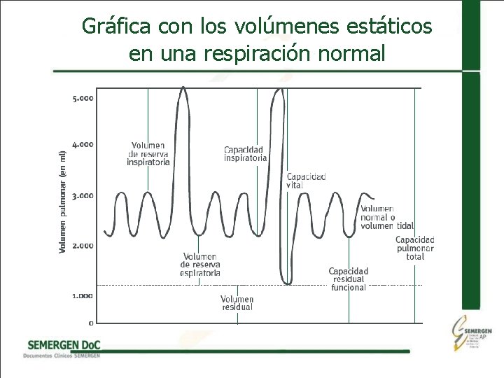 Gráfica con los volúmenes estáticos en una respiración normal 