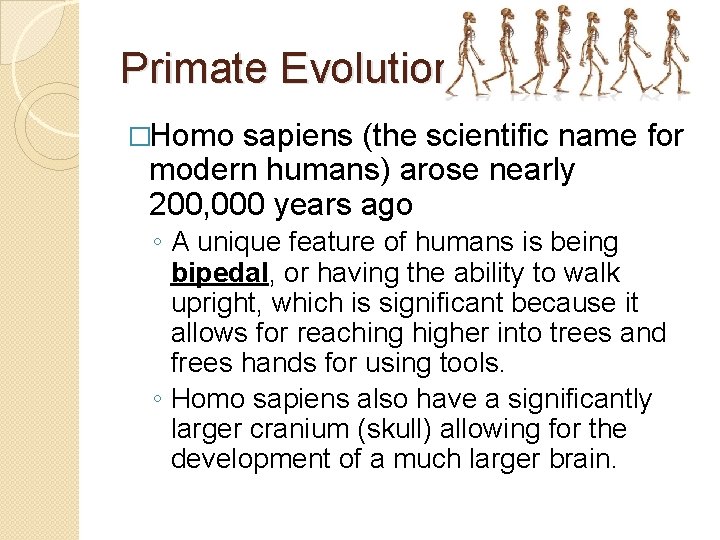 Primate Evolution �Homo sapiens (the scientific name for modern humans) arose nearly 200, 000