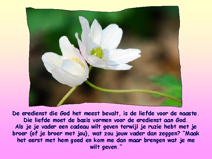 De eredienst die God het meest bevalt, is de liefde voor de naaste. Die