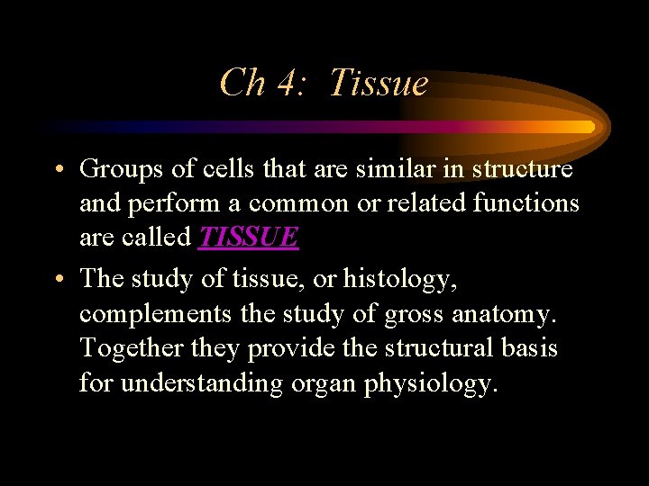 Ch 4 Tissue Groups of cells that are