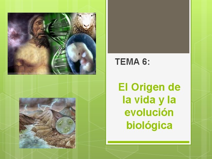 TEMA 6: El Origen de la vida y la evolución biológica 