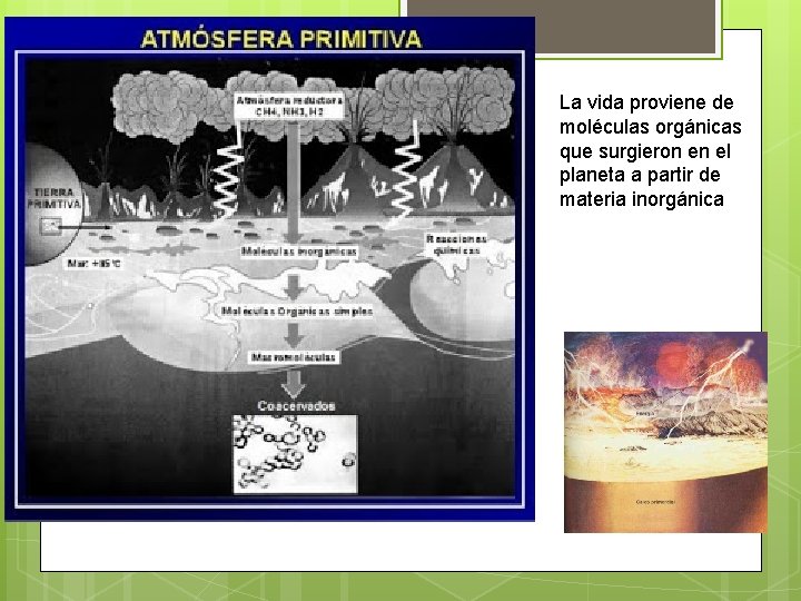 La vida proviene de moléculas orgánicas que surgieron en el planeta a partir de