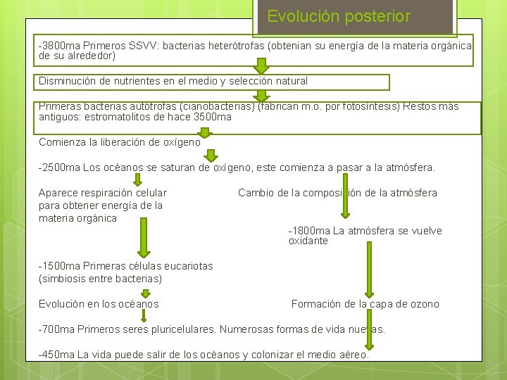 Evolución posterior -3800 ma Primeros SSVV: bacterias heterótrofas (obtenian su energía de la materia