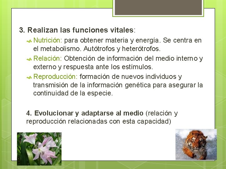 3. Realizan las funciones vitales: Nutrición: para obtener materia y energía. Se centra en
