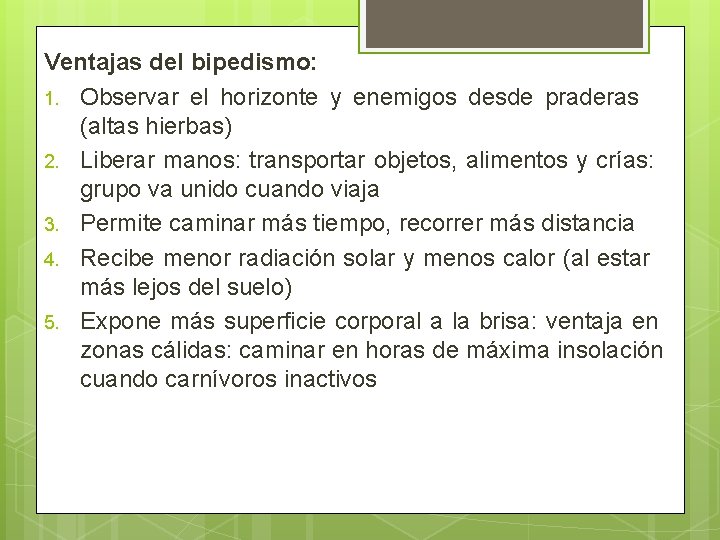 Ventajas del bipedismo: 1. Observar el horizonte y enemigos desde praderas (altas hierbas) 2.
