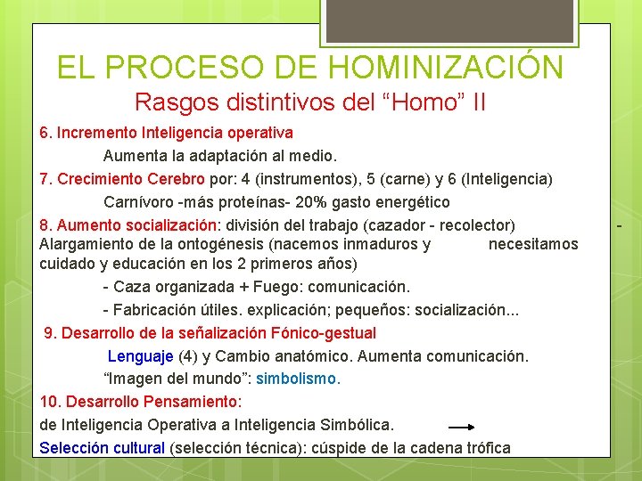 EL PROCESO DE HOMINIZACIÓN Rasgos distintivos del “Homo” II 6. Incremento Inteligencia operativa Aumenta