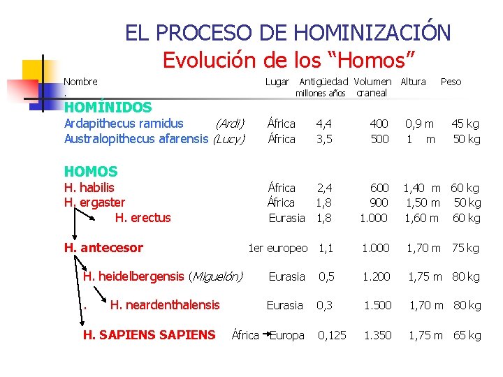 EL PROCESO DE HOMINIZACIÓN Evolución de los “Homos” Nombre. Lugar Antigüedad Volumen Altura millones
