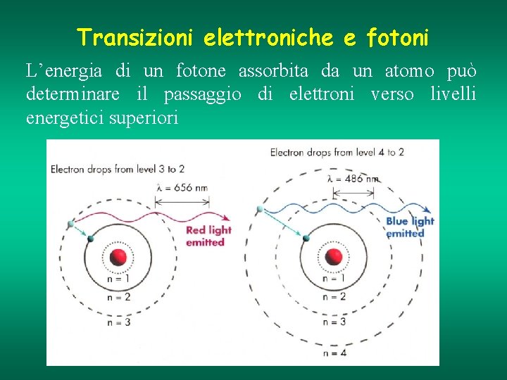 Transizioni elettroniche e fotoni L’energia di un fotone assorbita da un atomo può determinare