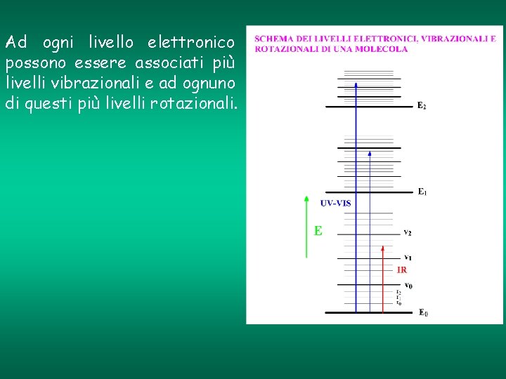 Ad ogni livello elettronico possono essere associati più livelli vibrazionali e ad ognuno di