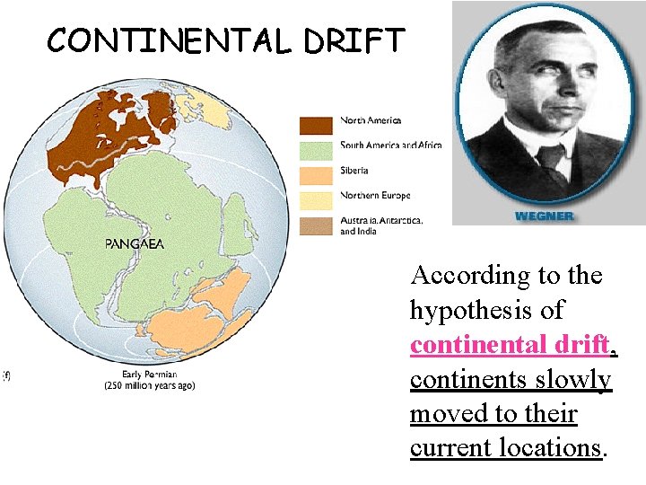 CONTINENTAL DRIFT According to the hypothesis of continental drift, continents slowly moved to their