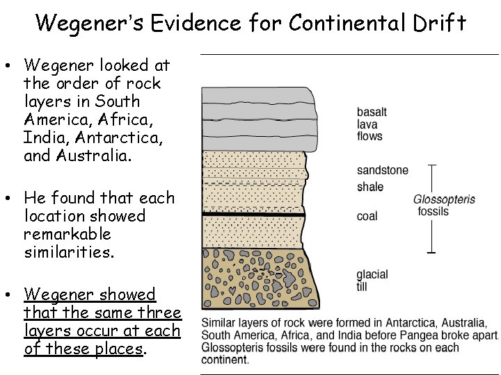 Wegener’s Evidence for Continental Drift • Wegener looked at the order of rock layers