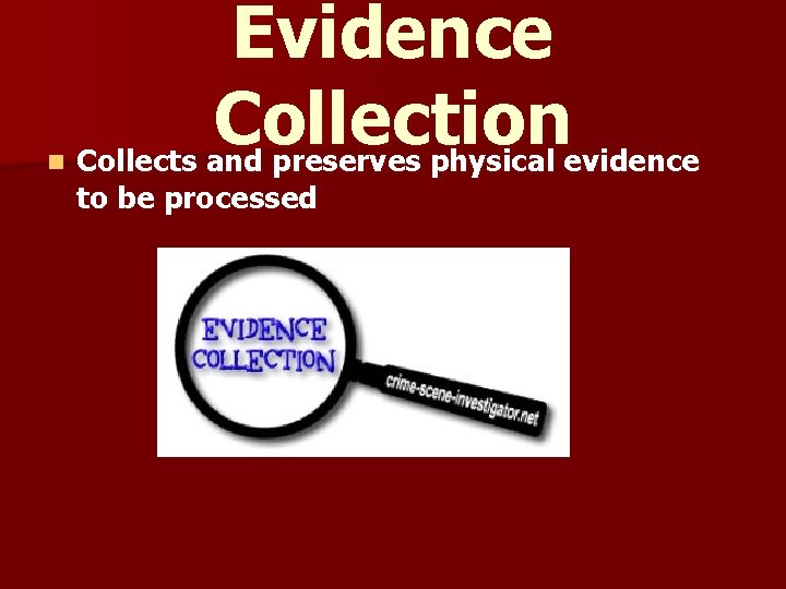 n Evidence Collection Collects and preserves physical evidence to be processed 