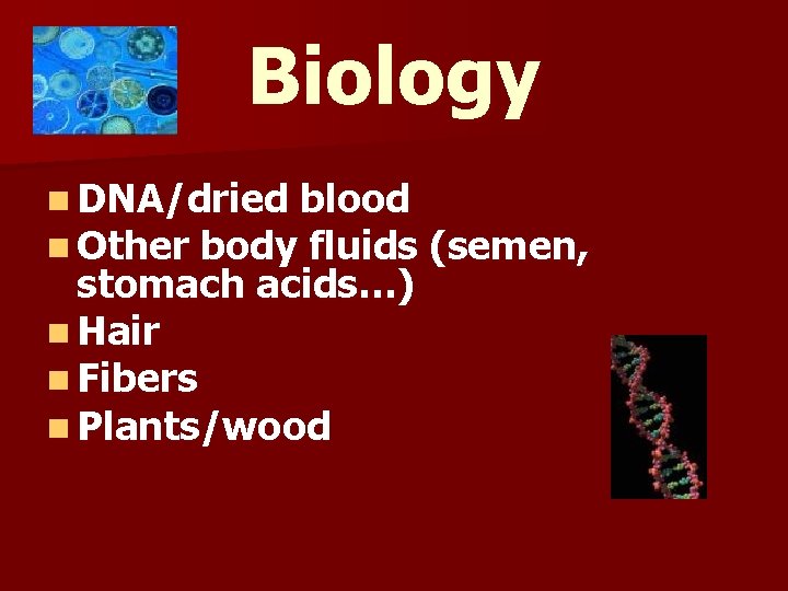 Biology n DNA/dried blood n Other body fluids stomach acids…) n Hair n Fibers