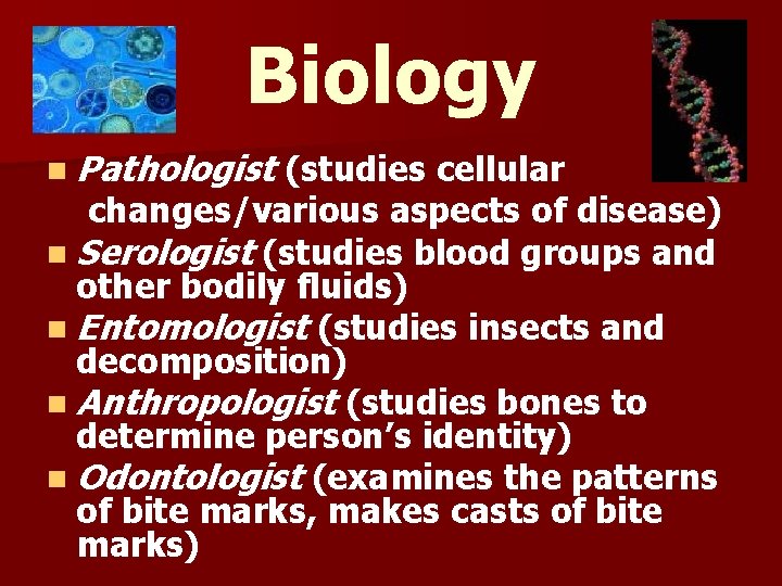 Biology n Pathologist (studies cellular changes/various aspects of disease) n Serologist (studies blood groups