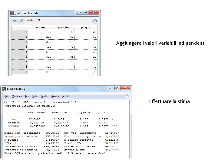 Aggiungere i valori variabili indipendenti Effettuare la stima 