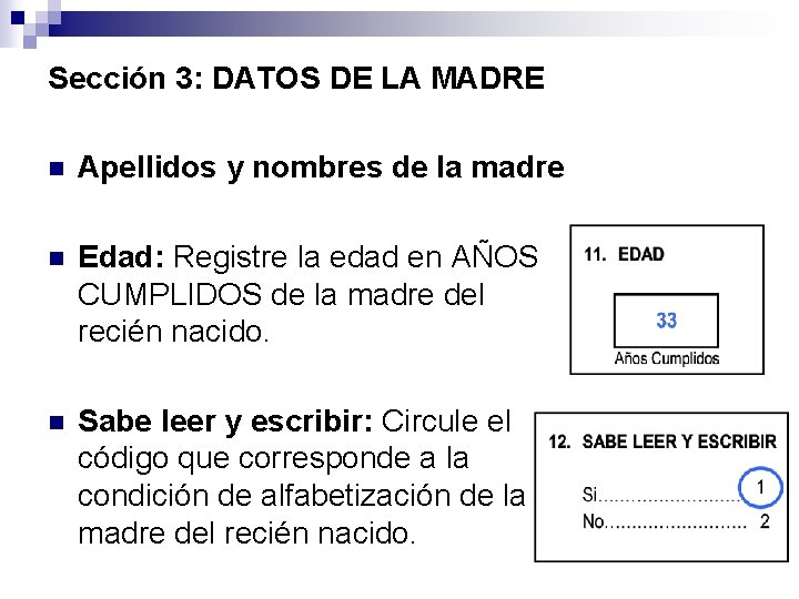 Sección 3: DATOS DE LA MADRE n Apellidos y nombres de la madre n